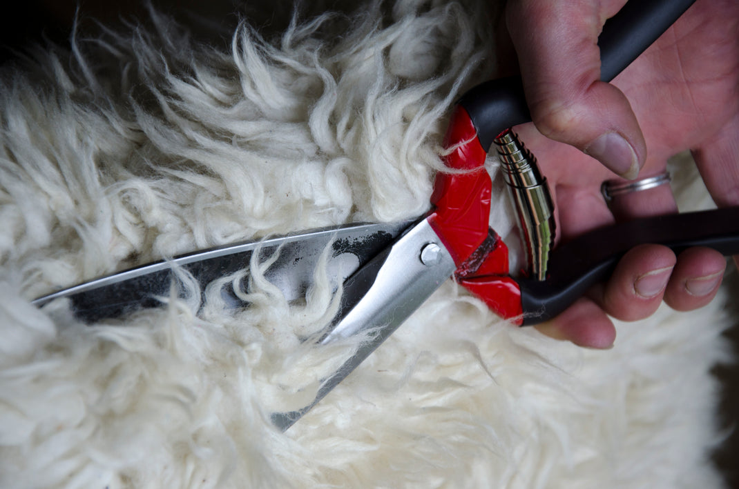 Jakoti Hand Shears - Quality Hand Shears for Gardening and Farming
