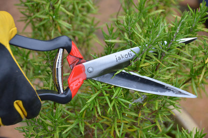 Jakoti Hand Shears
