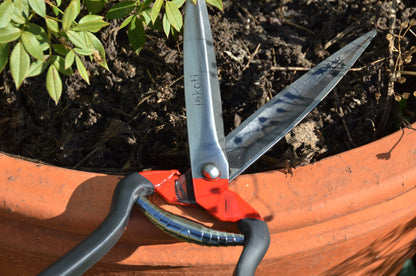 Jakoti Hand Shears